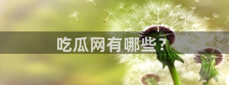 风静言我在年代文里吃瓜看戏：吃瓜网有哪些？