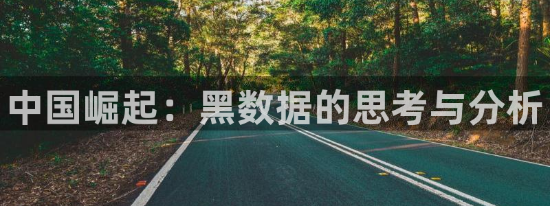51吃瓜今日吃瓜必吃莫里秀：中国崛起：黑数据的思考与分析