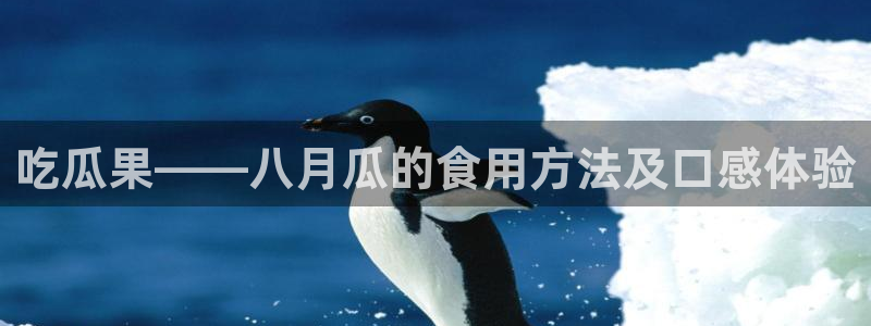 51吃瓜 张津瑜 网：吃瓜果——八月瓜的食用方法及口感体验