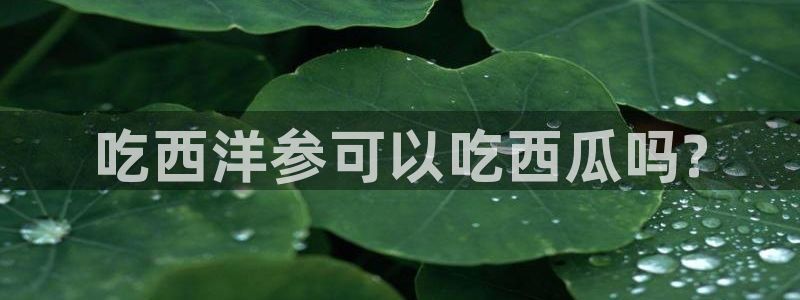 www.吃瓜：吃西洋参可以吃西瓜吗?